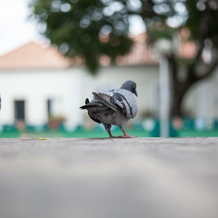 리스본 카사 산타 마리냐 아파트 외부 사진